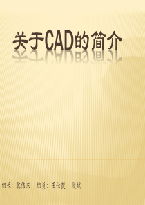 关于CAD的简介