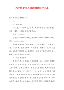 关于班子成员政治画像自评3篇