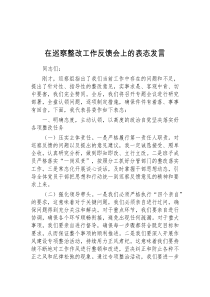 在巡察整改工作反馈会上的表态发言