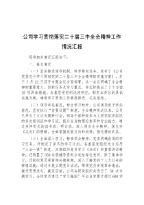 公司学习贯彻落实二十届三中全会精神工作情况汇报