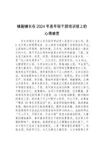 镇副镇长在2024年县年轻干部培训班上的心得感言