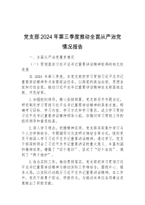 党支部2024年第三季度推动全面从严治党情况报告