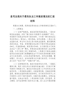 县司法局关于柔性执法工作推进情况的汇报材料