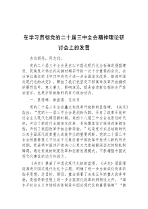 (领导发言)在学习贯彻党的二十届三中全会精神理论研讨会上的发言