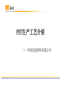 PET生产工艺流程（PPT31页)