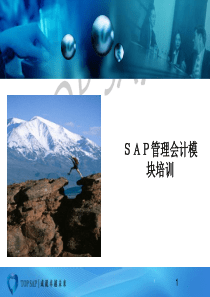 SAPCO模块基础培训