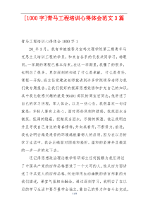 [1000字]青马工程培训心得体会范文3篇