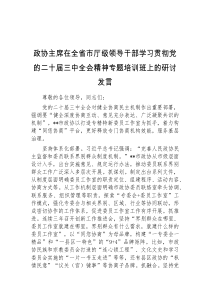 (领导发言)政协主席在全省市厅级领导干部学习贯彻党的二十届三中全会精神专题培训班上的研讨发言