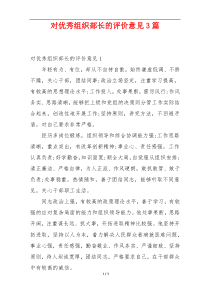 对优秀组织部长的评价意见3篇