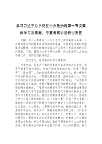 学习习近平总书记在中央政治局第十五次集体学习及青海宁夏考察讲话研讨发言