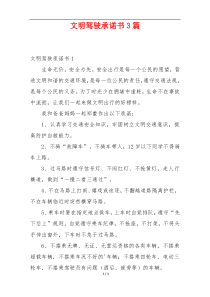 文明驾驶承诺书3篇