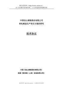 中国宝山钢铁股份有限公司热轧精益生产项目方案的研究