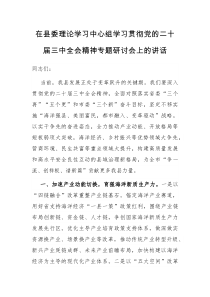 在县委理论学习中心组学习贯彻党的二十届三中全会精神专题研讨会上的讲话