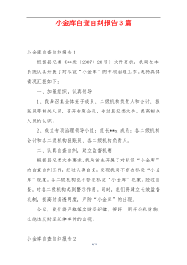 小金库自查自纠报告3篇