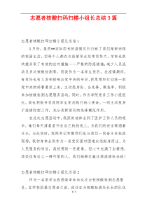 志愿者核酸扫码扫楼小组长总结3篇