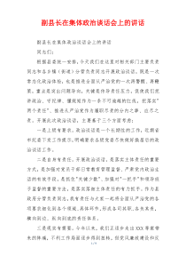 副县长在集体政治谈话会上的讲话