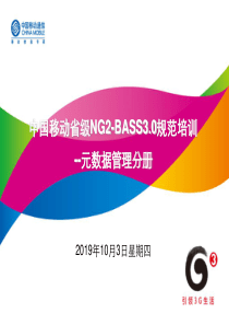 NG2-BASS30规范培训-技术规范-元数据管理分册-张韬