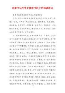 县委书记在党支部读书班上的强调讲话