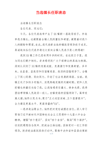 当选镇长任职表态