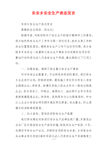 东安乡安全生产表态发言