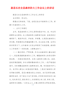 副县长在全县森林防火工作会议上的讲话