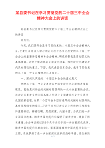 某县委书记在学习贯彻党的二十届三中全会精神大会上的讲话