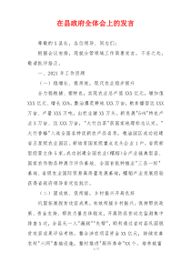 在县政府全体会上的发言