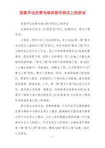 党委书记在青马培训班开班式上的讲话