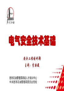 电气安全技术基础（PDF65页）