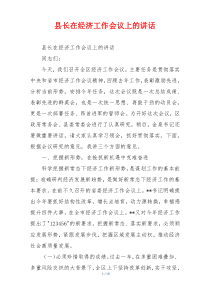 县长在经济工作会议上的讲话