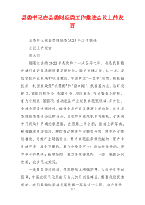 县委书记在县委财经委工作推进会议上的发言