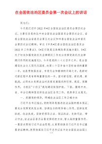 (参考)在全面依法治区委员会第一次会议上的讲话