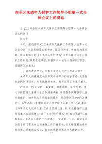 在全区未成年人保护工作领导小组第一次全体会议上的讲话