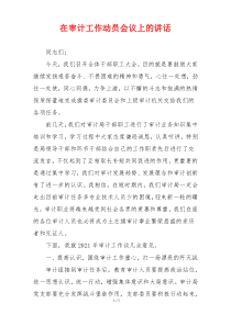 (参考)在审计工作动员会议上的讲话