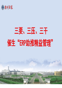 滨州活塞——三要、三压、三干催生“ERP助推精益管理”