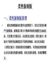 柔性版版制版详细工艺流程