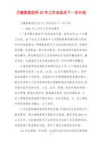 卫健委基层科XX年工作总结及下一步计划