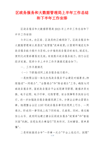 区政务服务和大数据管理局上半年工作总结和下半年工作安排