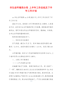 市生态环境局分局 上半年工作总结及下半年工作计划