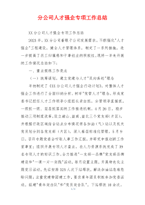 分公司人才强企专项工作总结