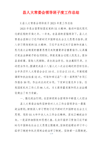 县人大常委会领导班子度工作总结