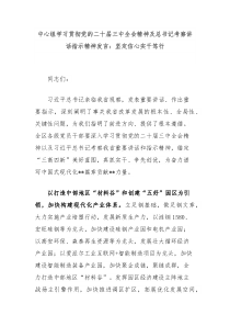 中心组学习贯彻党的二十届三中全会精神及总书记考察讲话指示精神发言坚定信心实干笃行