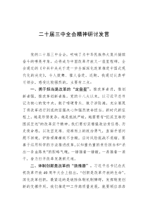 二十届三中全会精神研讨发言