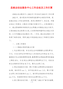 县就业创业服务中心工作总结及工作打算