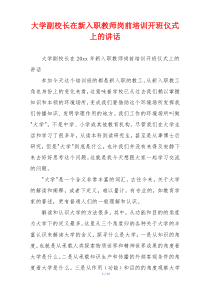 大学副校长在新入职教师岗前培训开班仪式上的讲话