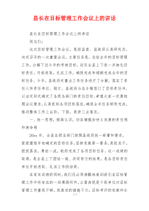 县长在目标管理工作会议上的讲话