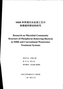 MBR和常规污水处理工艺中除磷菌种群结构研究