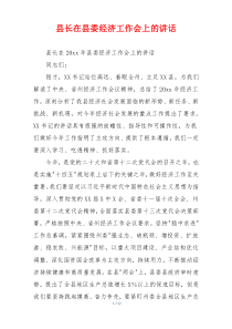 县长在县委经济工作会上的讲话