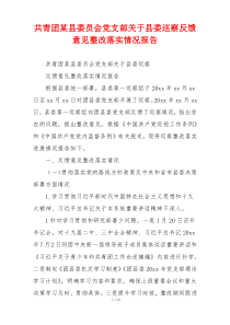 共青团某县委员会党支部关于县委巡察反馈意见整改落实情况报告