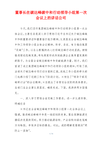 董事长在碳达峰碳中和行动领导小组第一次会议上的讲话公司